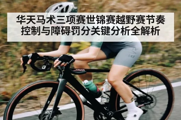 华天马术三项赛世锦赛越野赛节奏控制与障碍罚分关键分析全解析